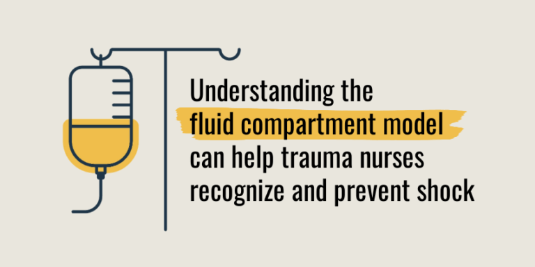 Understanding the fluid compartment model can help trauma nurses recognize and prevent shock
